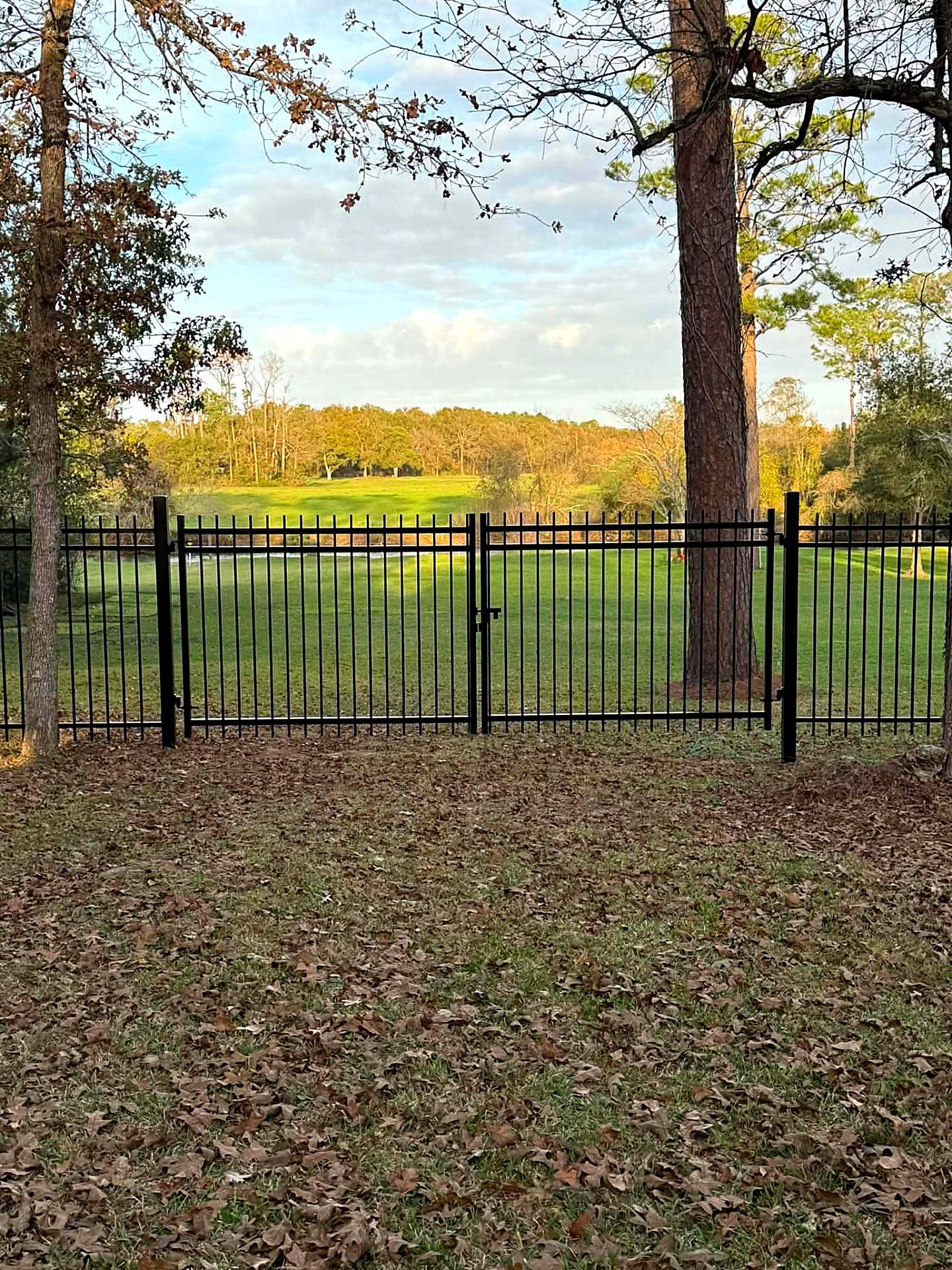 Black spear-top fence with a double gate looking over a pond and field